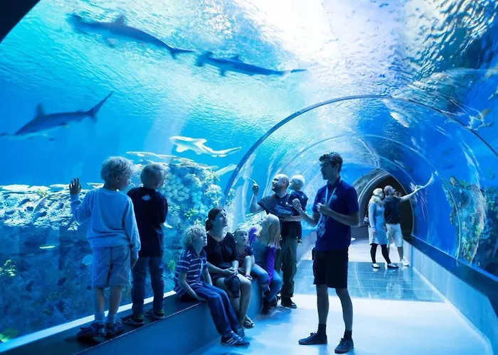 Exclusive 2br In Renovated Leilighet